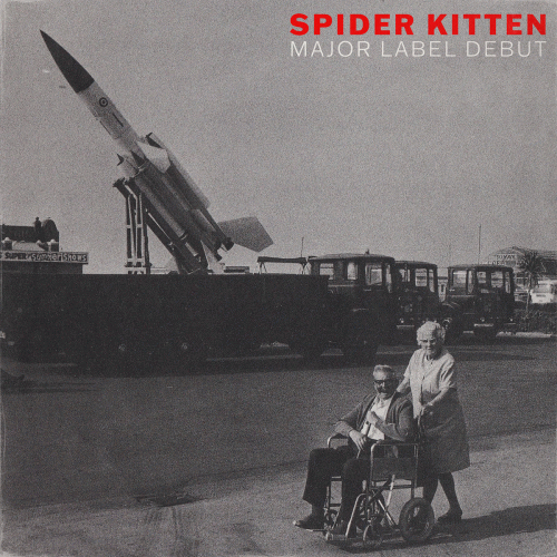 Spider Kitten : Major Label Debut